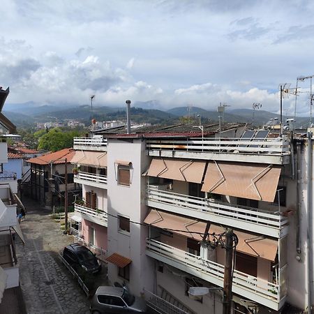 Apartamento Blue Dreams Veria  Exterior foto